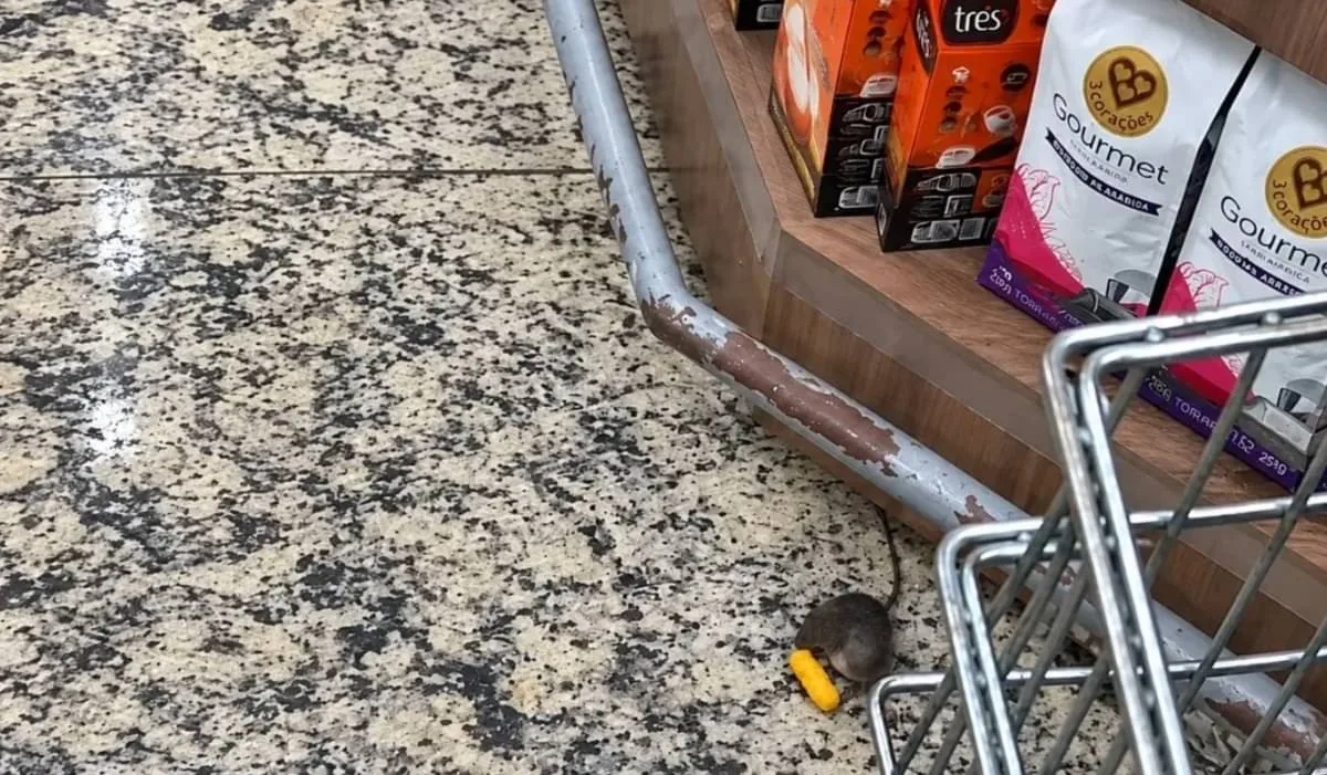 rato-circula-em-corredor-de-supermercado-de-itapua-em-vila-velha