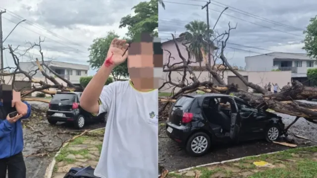 Jovens ficam feridos após carro ser atingido por queda de árvore durante chuva em Goiânia