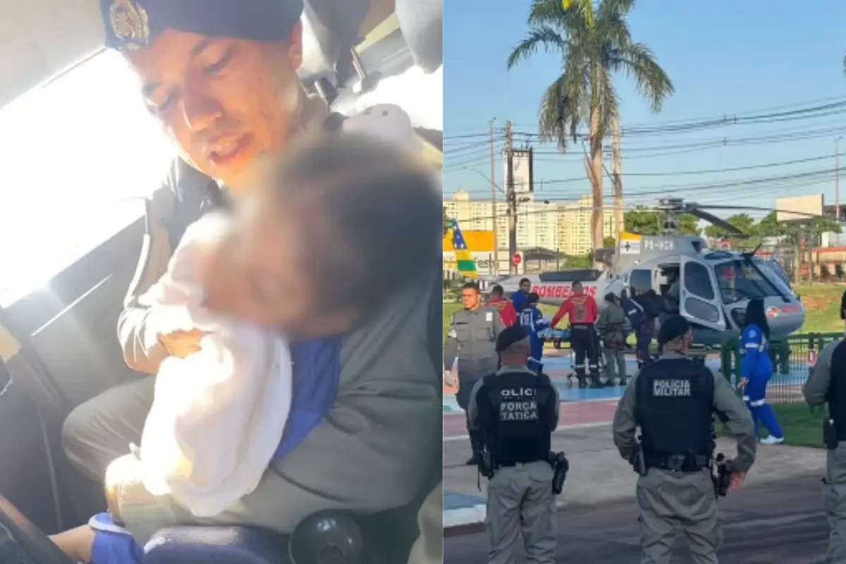 Mãe grávida e filha de 6 anos são picadas por escorpião em Goiânia