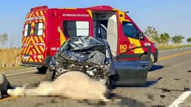 Carro atropela rebanho e cinco bovinos morrem na GO-446, em Iaciara