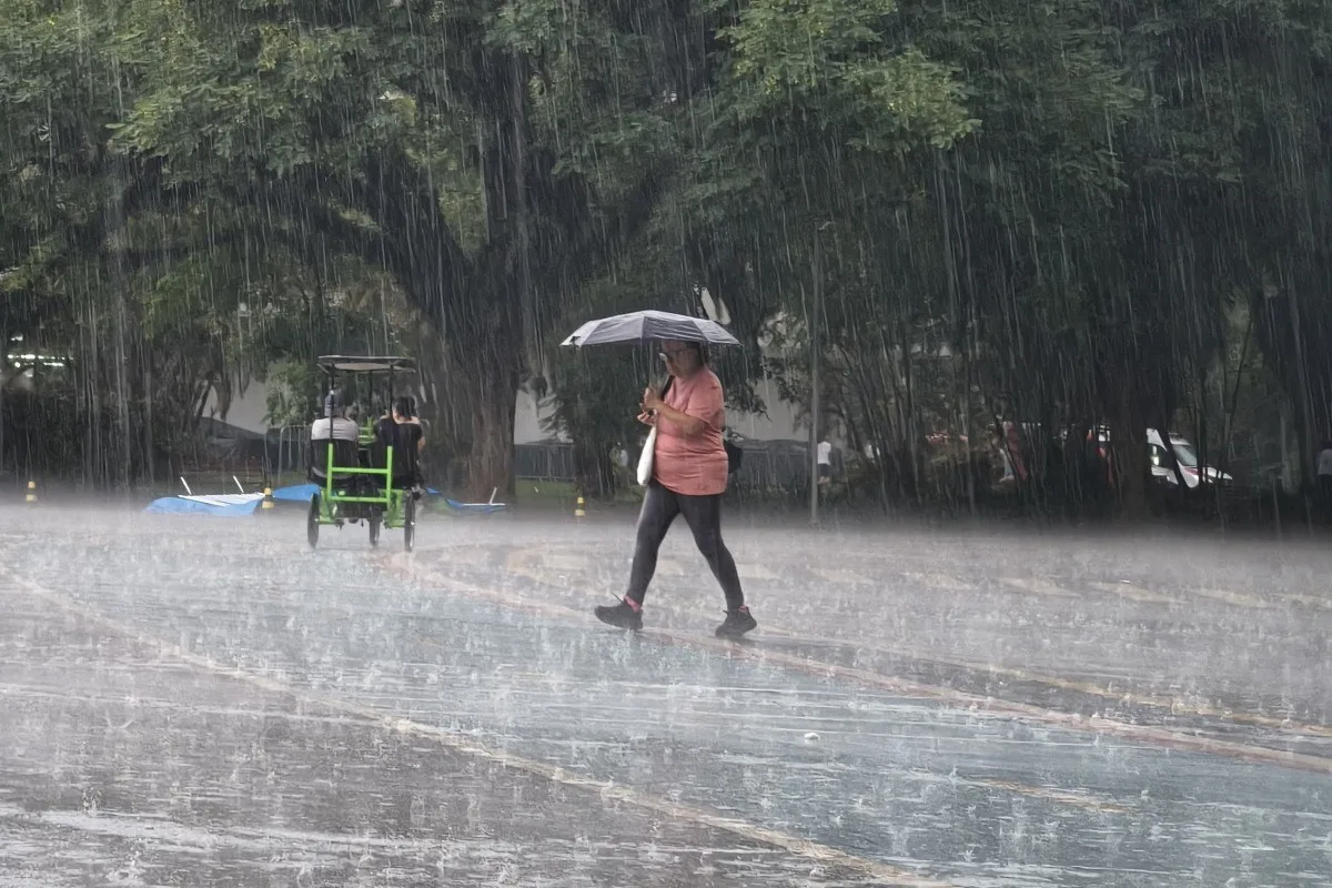 clima:-sul,-sudeste-e-centro-oeste-enfrentam-chuvas;-interior-tem-calorao