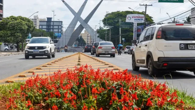 Mais de 839 mil veículos em Goiás ainda têm IPVA a pagar; prazo termina nesta quinta