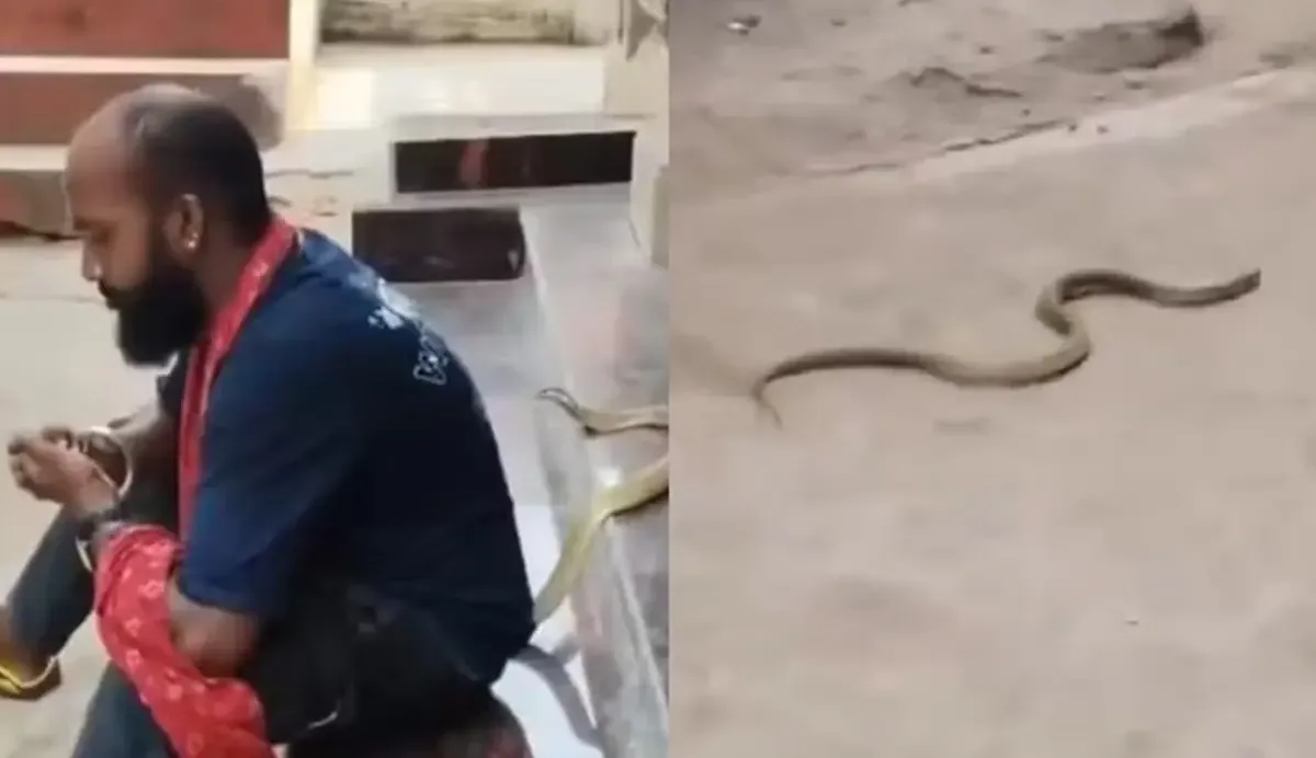 homem-morre-apos-ser-picado-por-cobra-venenosa-enquanto-gravava-videos;-assista