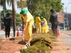 Prefeitura de Aparecida amplia paisagismo de 20 avenidas com mão de obra de reeducandos do sistema prisional