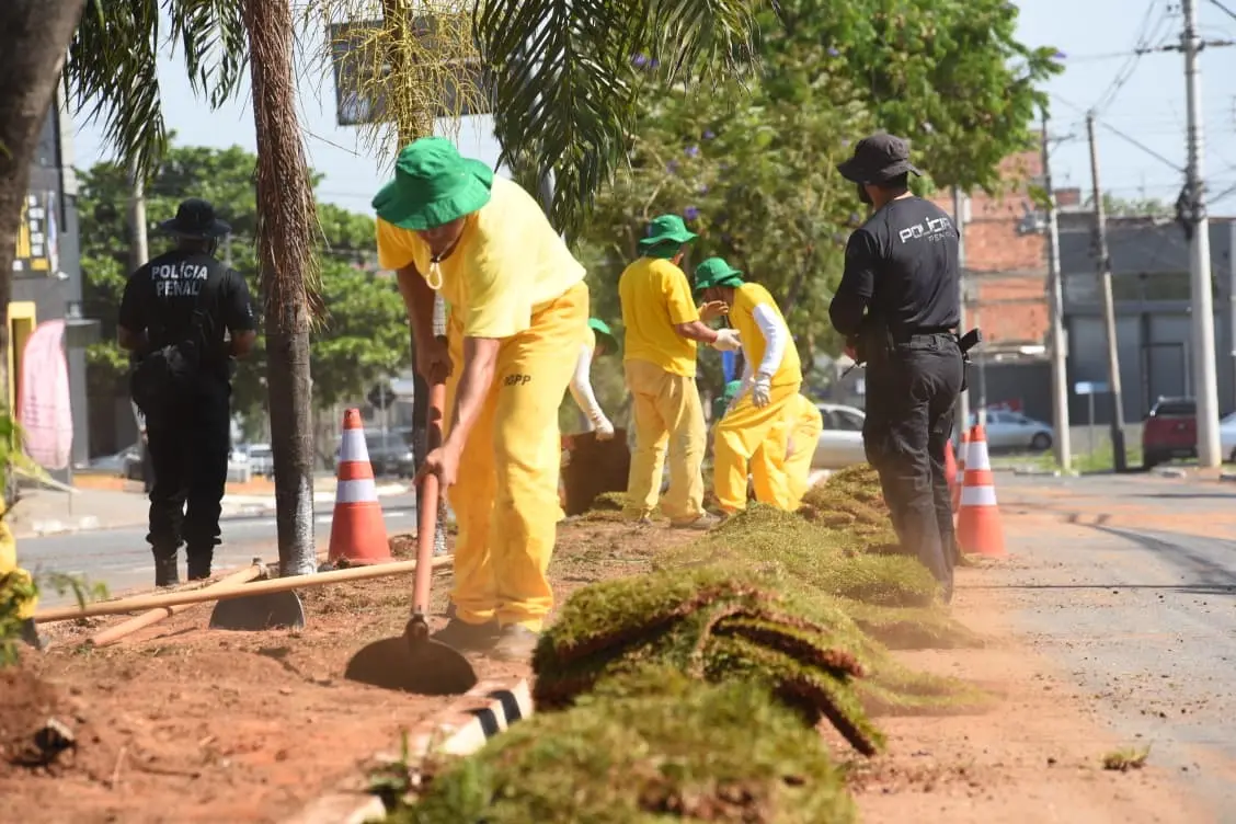 prefeitura-de-aparecida-amplia-paisagismo-de-20-avenidas-com-mao-de-obra-de-reeducandos-do-sistema-prisional