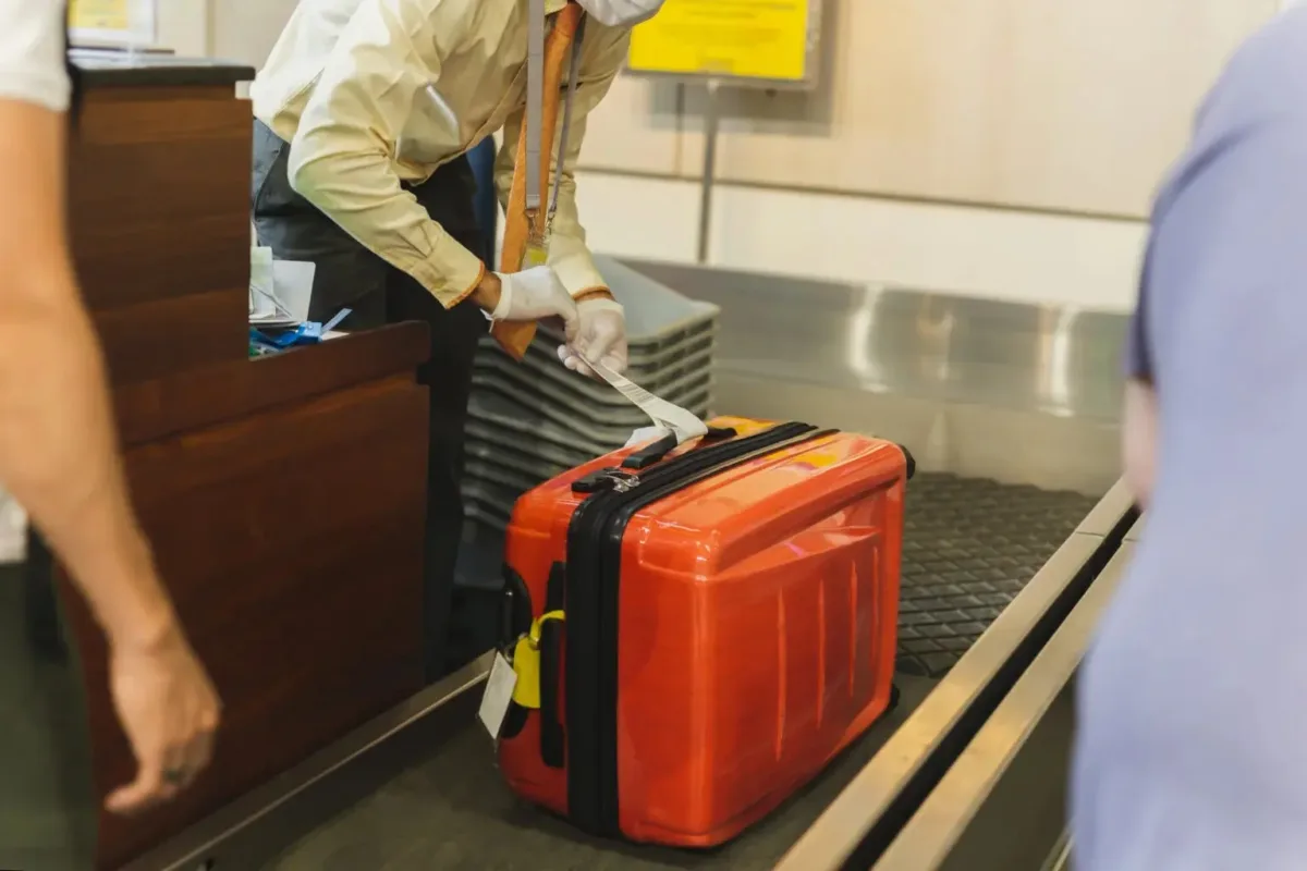 homem-e-preso-em-aeroporto-com-90-lagartos-e-cobras-venenosas-na-bagagem;-veja-fotos