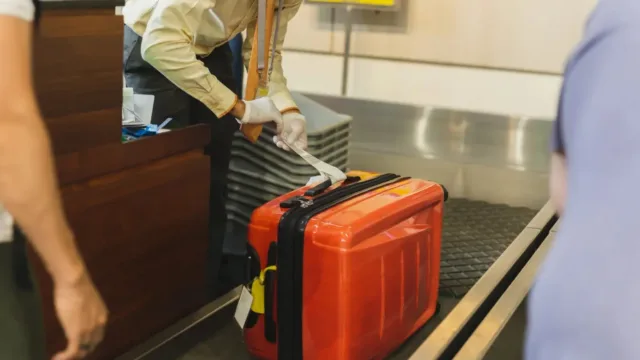 Homem é preso em aeroporto com 90 lagartos e cobras venenosas na bagagem; veja fotos
