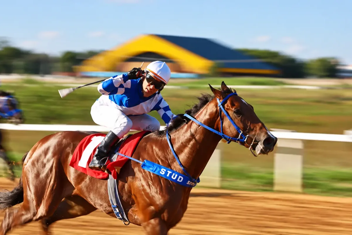goiania-tera-corridas-de-cavalos-com-entrada-gratuita-no-aniversario-de-93-anos