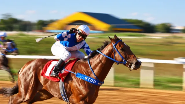 Goiânia terá corridas de cavalos com entrada gratuita no aniversário de 93 anos
