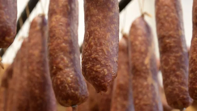 qual-linguica-foi-proibida-pela-anvisa-por-conter-bacteria-perigosa?