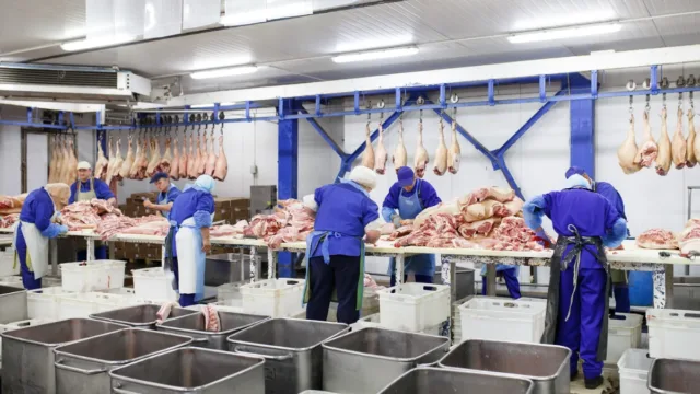 Acordo com a Europa pode ampliar exportações de Goiás em US$ 208 milhões por ano, estima Fieg