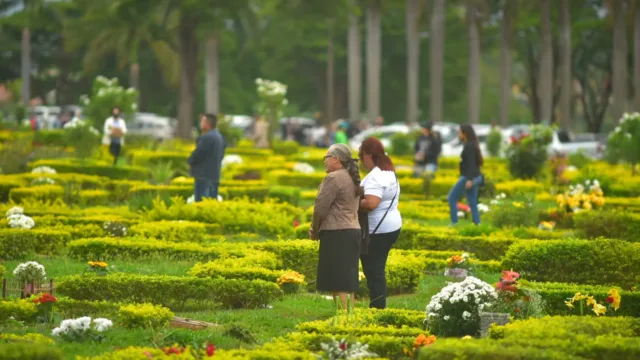 O que acontece com as flores deixadas nos túmulos após o Dia de Finados em Goiânia?