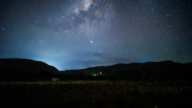 Vídeo mostra espetáculo de vaga-lumes que virou atração noturna na Chapada dos Veadeiros