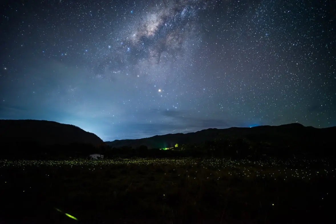 video-mostra-espetaculo-de-vaga-lumes-que-virou-atracao-noturna-na-chapada-dos-veadeiros